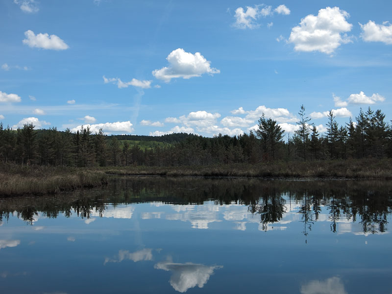 McDonald Creek in Algonquin Park