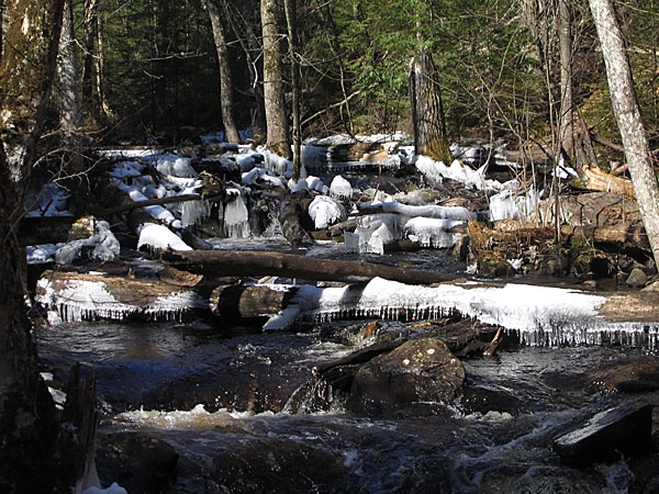 Kennedy Creek