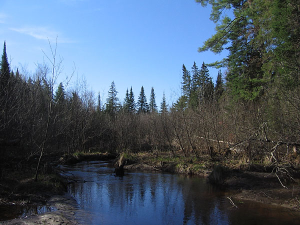 Kennedy Creek in the Four Seasons Forest Conservancy