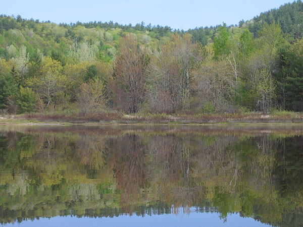 Spring colours along the Ottawa River near Point Alexander