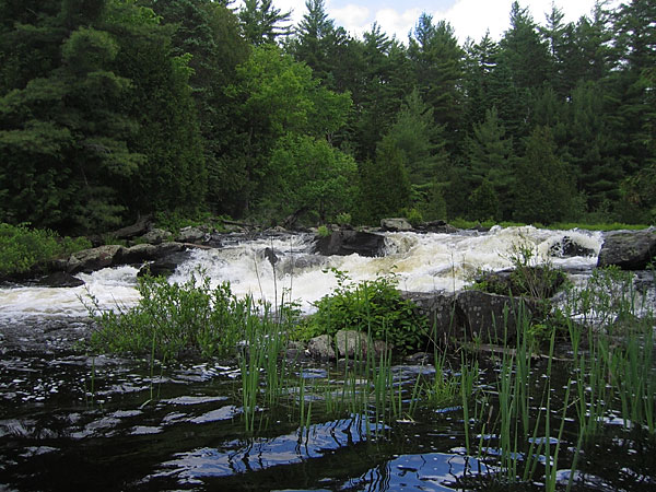 Barron River in Algonquin Park