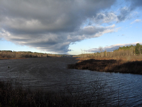 Corry Lake