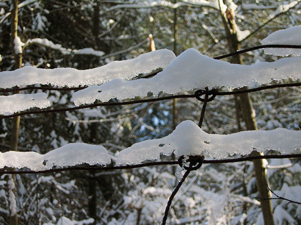 snow on wire fence