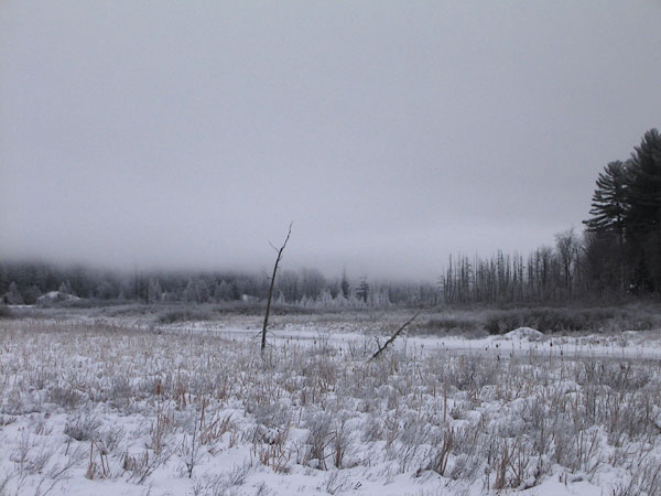 ice fog hoar frost Chalk River at Corry Lake bridge