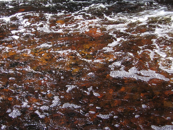 Young Creek in the Petawawa Research Forest