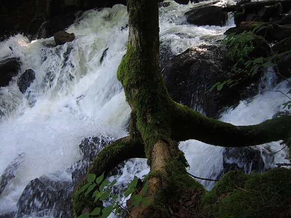 waterfalls at Laurel Lake in Algonquin Park