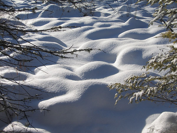 Snow hummocks in the Petawawa Research Forest