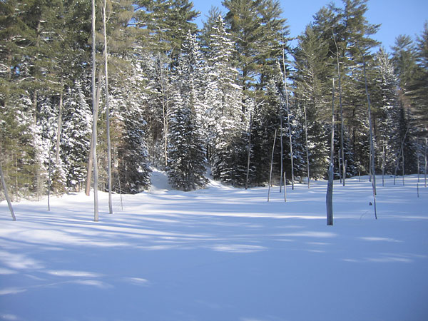 Beaver Pond along the HSA Trail in the Petawawa Research Forest