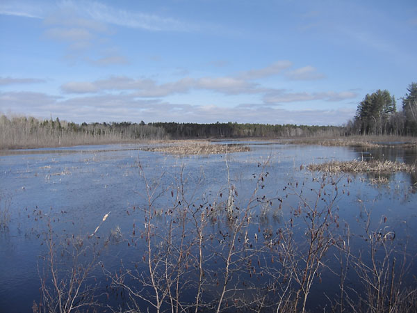 Chalk River in Spring Flood from the Corry Lake Bridge