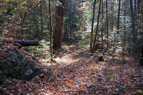 Maunsell Lake Ski Trail in the Petawawa Research Forest