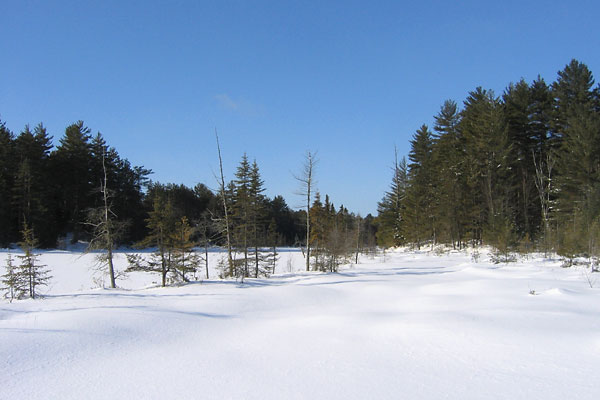 Maunsell Lake in the Petawawa Research Forest