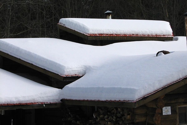 Sugar Shack in the Petawawa Research Forest