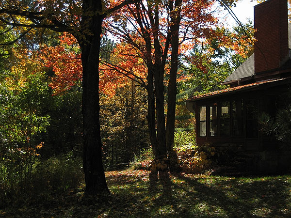 Autumn Colours