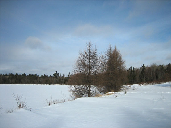 Thomas Lake in the Petawawa Research Forest
